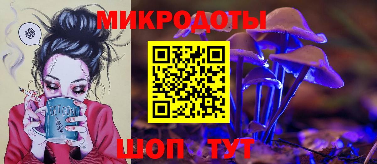 Псилоцибиновые грибы Cubensis Новоалтайск