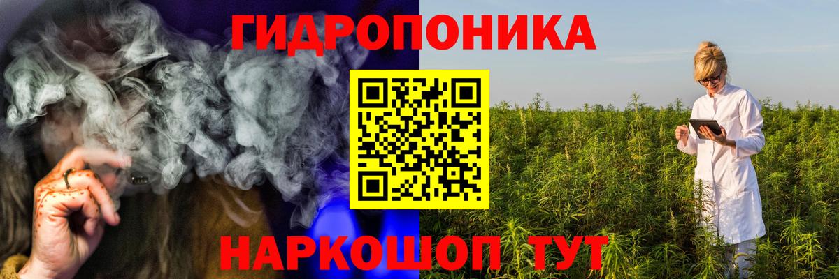 Шишки марихуана планчик Новоалтайск